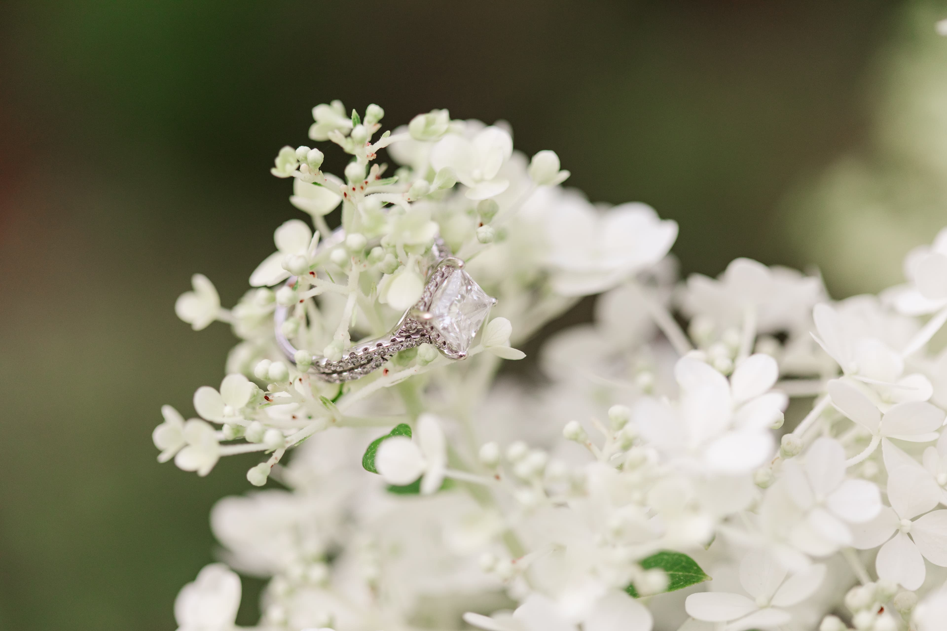 Sara & Luke | Wickham Park Engagement Manchester, Connecticut